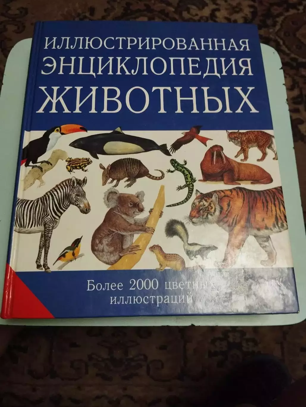 Иллюстрированная энциклопедия животных