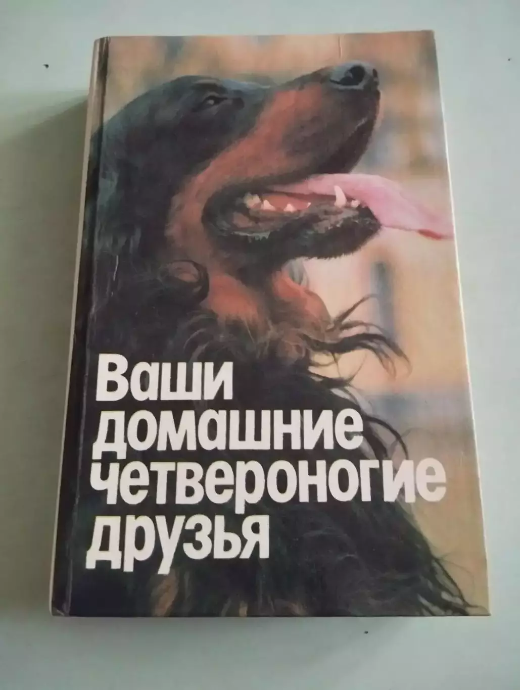 Н.П.Бацанов. Ваши домашние четвероногие друзья