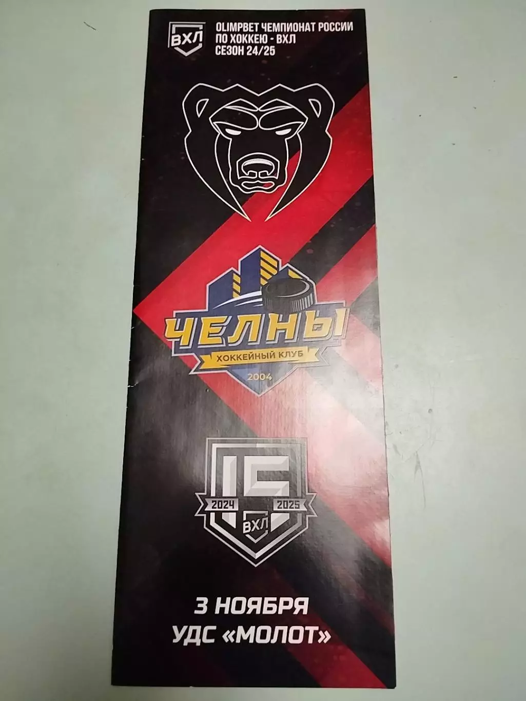 ХК Молот - ХК Челны. 03.11.2024