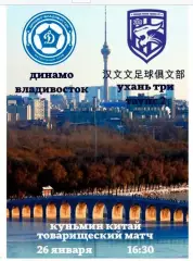 Предзаказ. Динамо Владивосток - Ухань три таунс 2. 26.01.2026