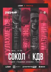 Предзаказ. Сокол Казань - КДВ. 14.06.2025