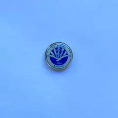 Значок ФК Динамо Батуми / Официальный