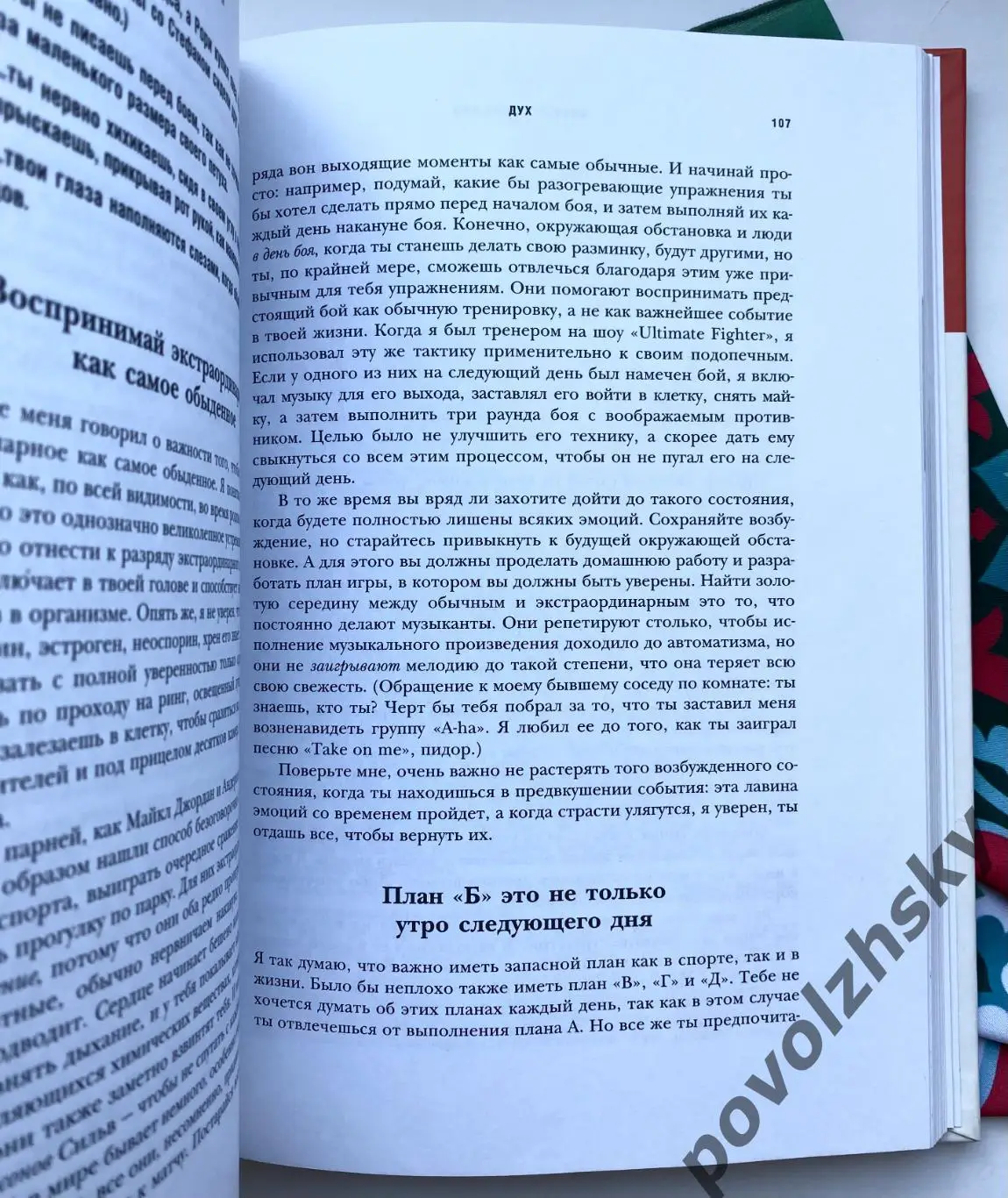 Форрест Гриффин - ПО МОРДЕ? 4