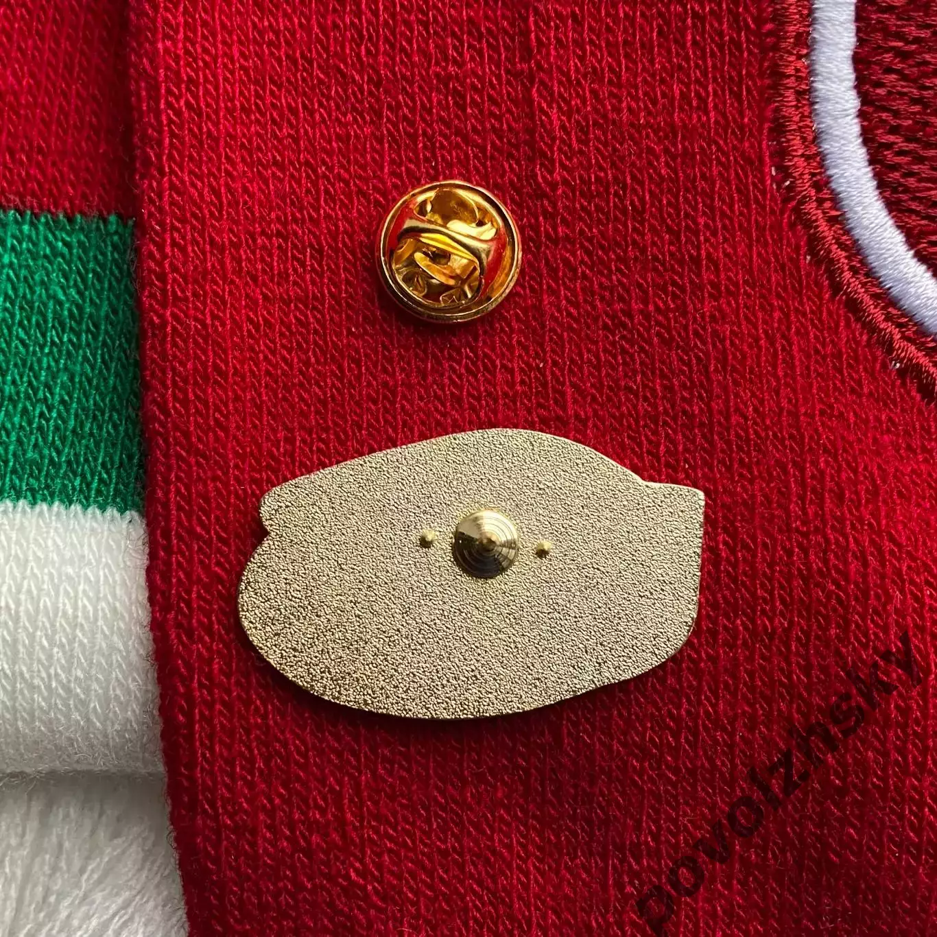 Значок ФК Рубин / Официальный / Ак Барс Арена / Казань 3