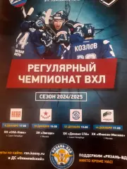 Рязань - СКА Нева Петербург/ Звезда Москва/ Динамо Петербург/ Юнисон 2024