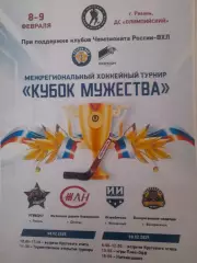 Рязань/ Донецк/ Жуковский/ Воскресенск 2025 афиша турнир