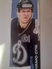 Динамо Петербург - Саратов/ Пенза/ Тула/ Рязань 2025