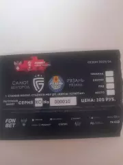 Салют Белгород - Рязань 2025 билет кубок 1