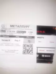 Металлург Липецк - Рязань 2025 билет 2