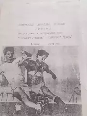 Торпедо Рязань - Арсенал Тула 1994 Шацк