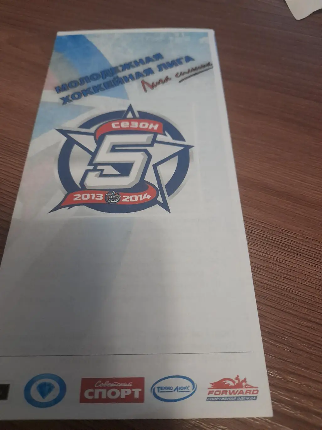 МХК Белгород - Молния Рязань 2013 1