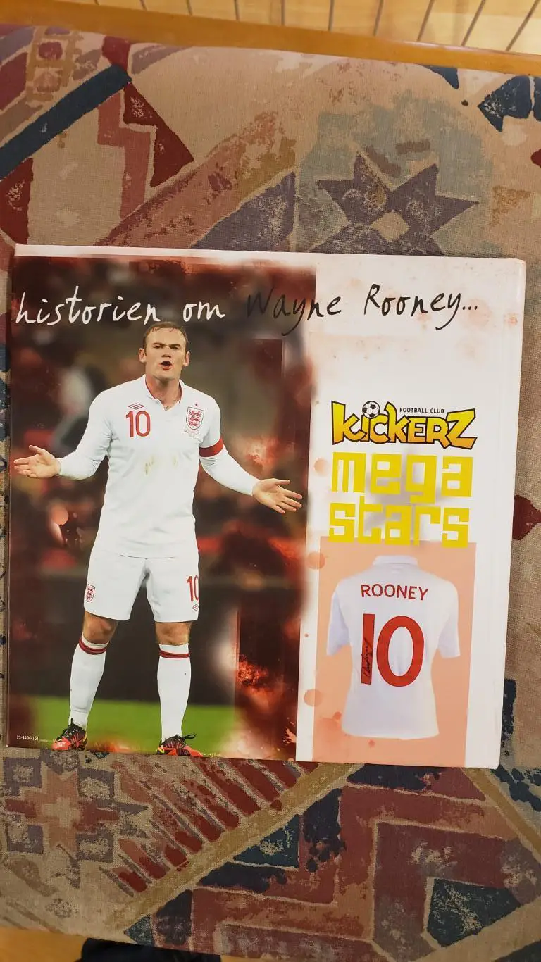 Книга - Мега звезда Руни. 1