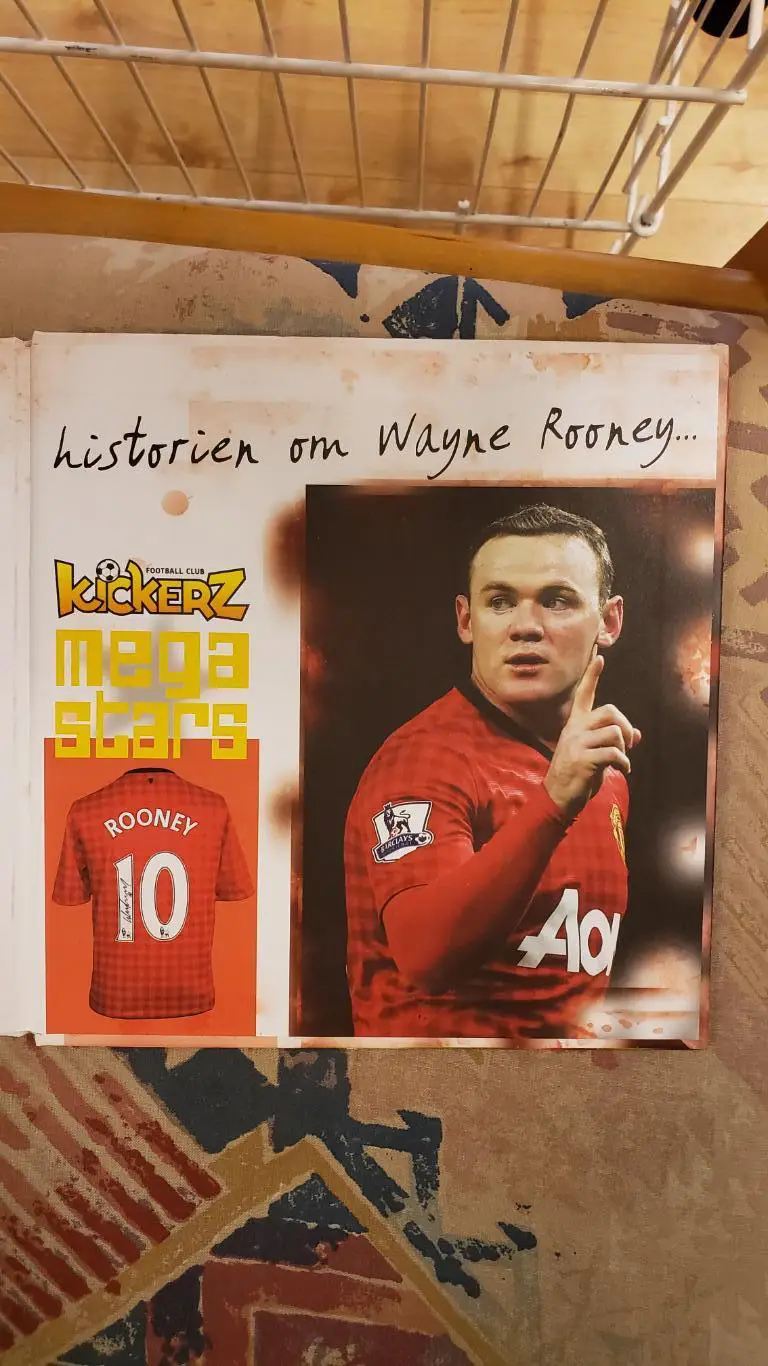 Книга - Мега звезда Руни. 7