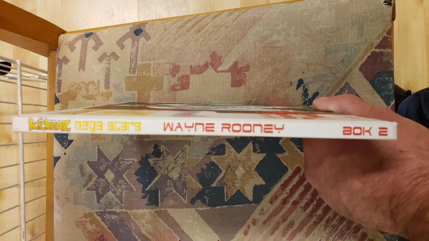 Книга - Мега звезда Руни. 2