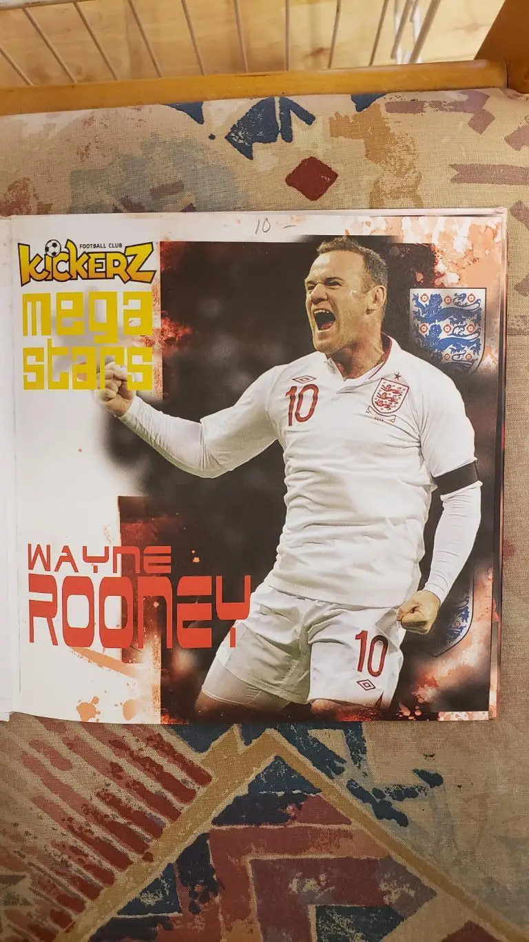 Книга - Мега звезда Руни.