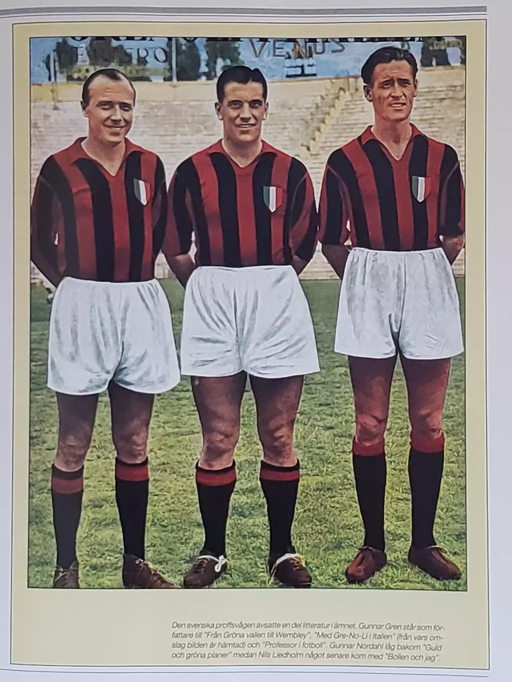 Книга- Фотоальбом Шведские профи 4