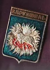 Каргополь