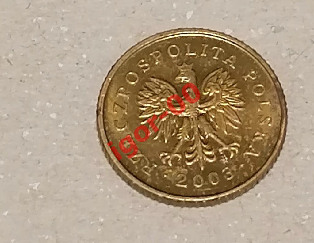 1 Grosz - Польша 1 грош 2003 1
