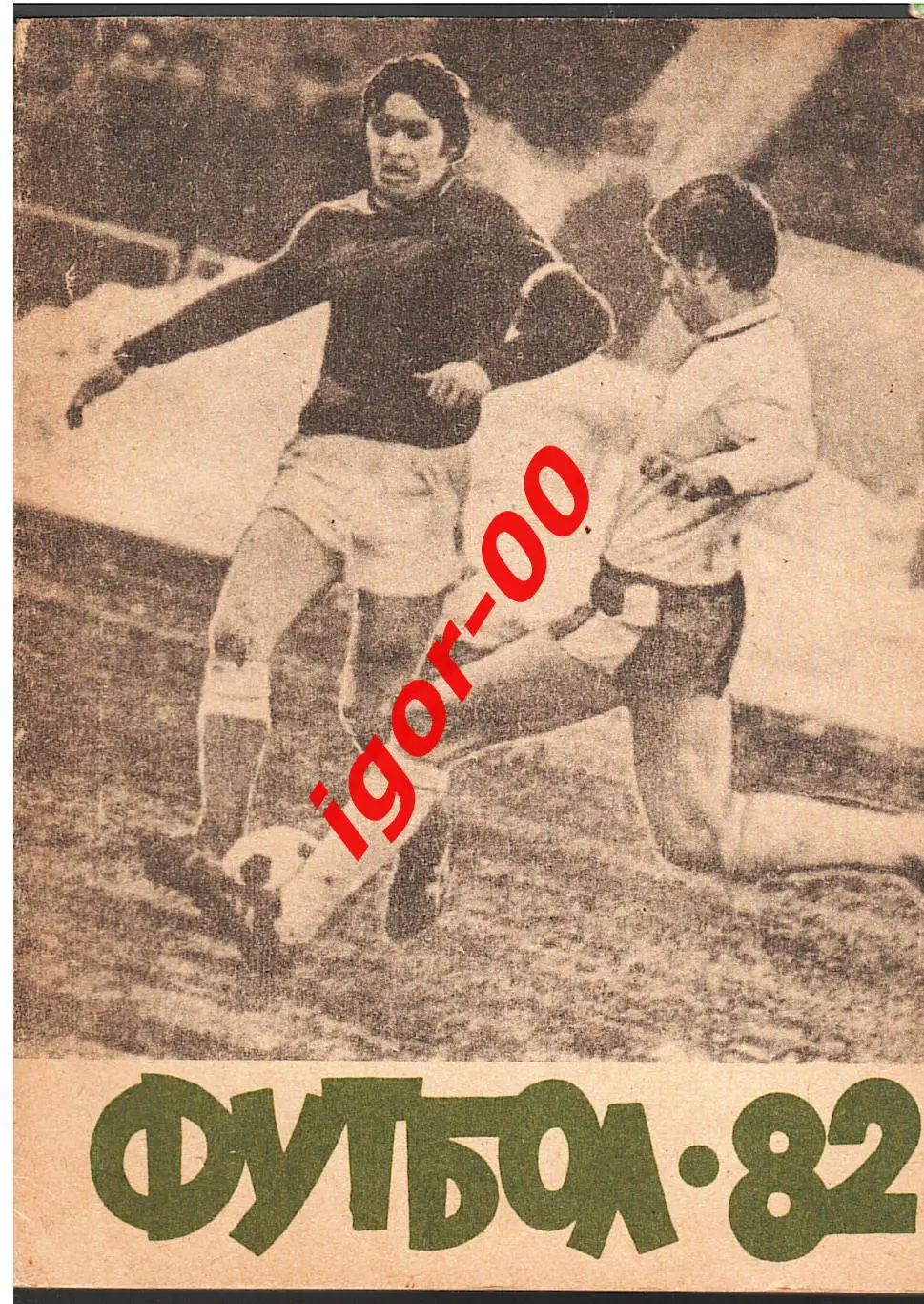 Благовещенск 1982