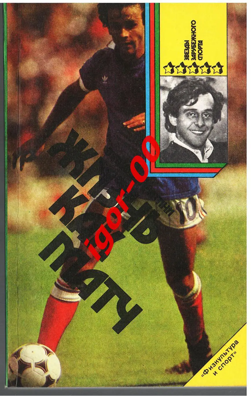 М.Платини Жизнь как матч