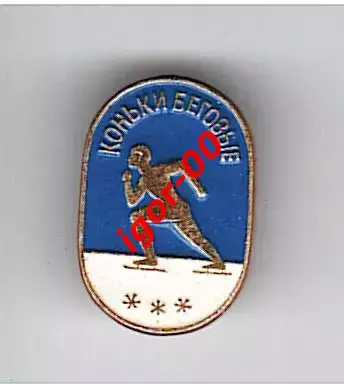 Коньки беговые