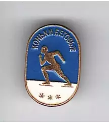 Коньки беговые