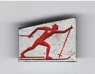 Лыжи беговые