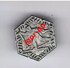 Лыжные гонки