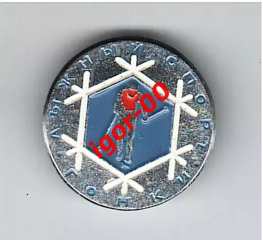 Лыжные гонки