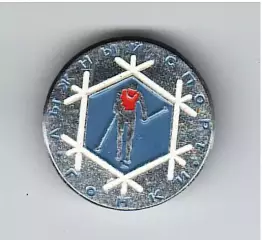 Лыжные гонки