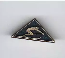 Лыжный спорт