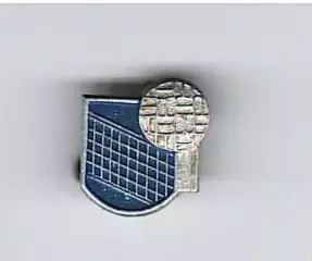 Значок Волейбол