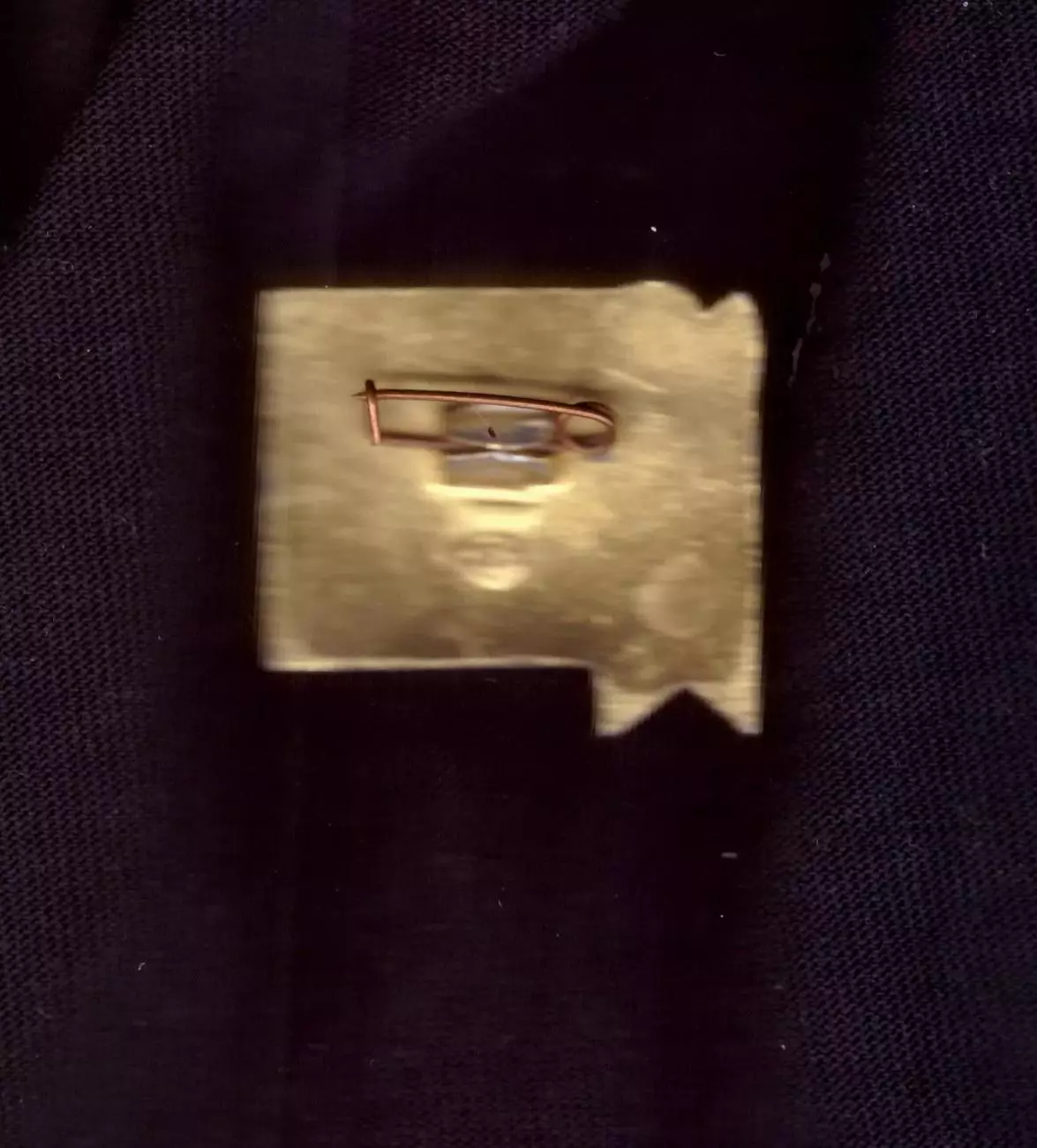 Значок Красная Пресня (Спартак Москва ) хоккей с мячом СССР 40 лет 1923-1963 1