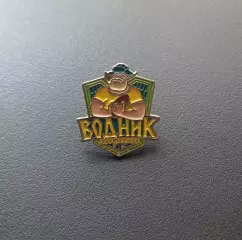 Значок РК Водник Архангельск (регби)