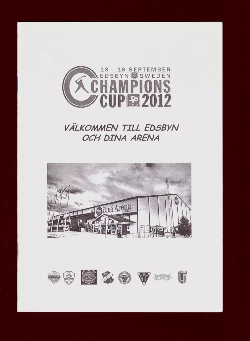 Кубок Чемпионов 2012 (Динамо Москва, Зоркий, Новосибирск)