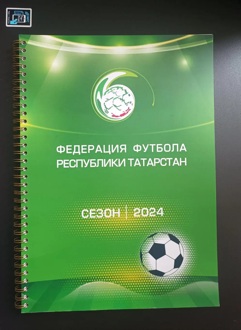Федерация футбола Татарстана: итоги сезона 2024 (справочник)