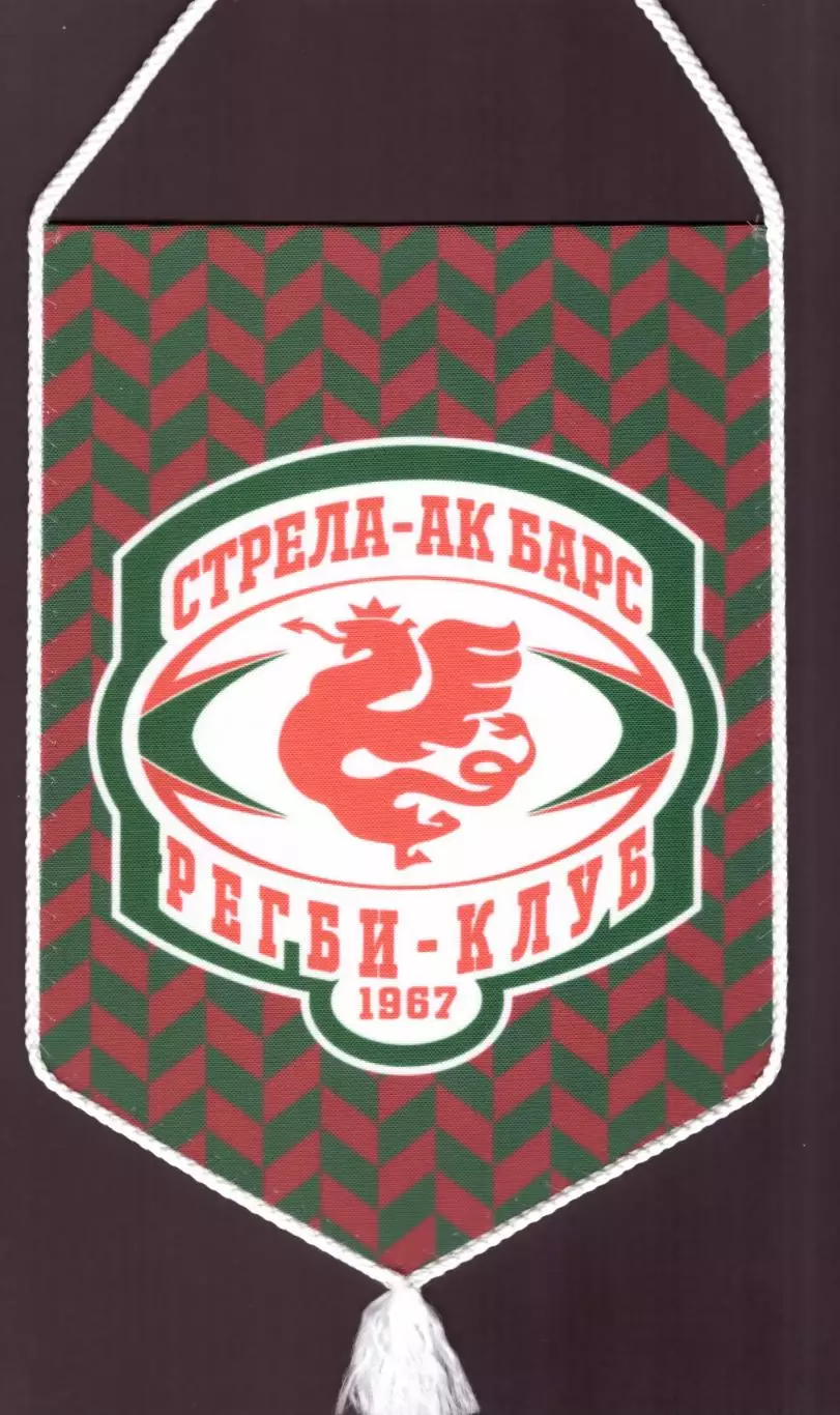 Вымпел Стрела-Ак Барс Казань (регби) 1