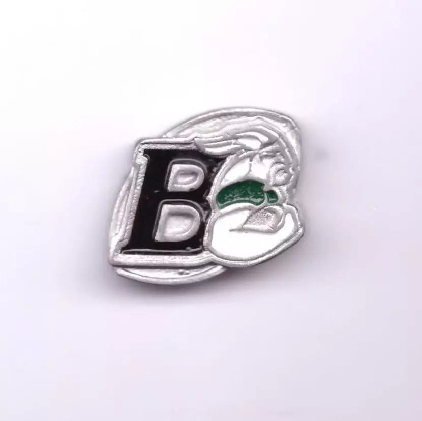 Значок РК Варяг Новгород (регби)