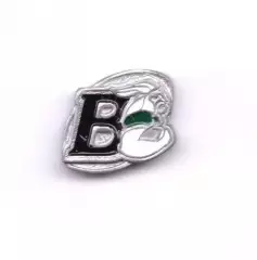 Значок РК Варяг Новгород (регби). Официальный