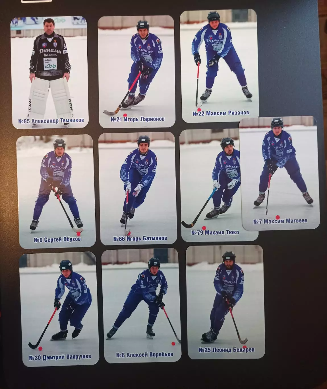 Хоккей с мячом. Динамо Казань, 2019 (10 календариков)