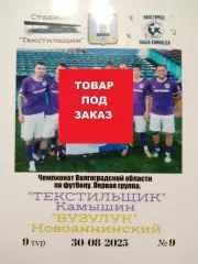 На заказ. Текстильщик Камышин - Бузулук Новоаннинский. 30.08.2025. Ч.В.О.