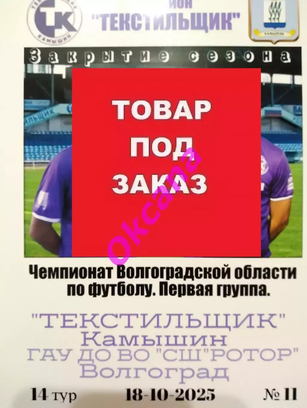На заказ. Текстильщик Камышин - СШ Ротор Волгоград. 18.10.2025. Ч.В.О.