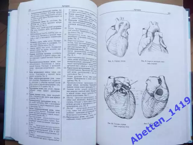 Карманный атлас анатомии человека, Ханц Фениш, 1998г. 2
