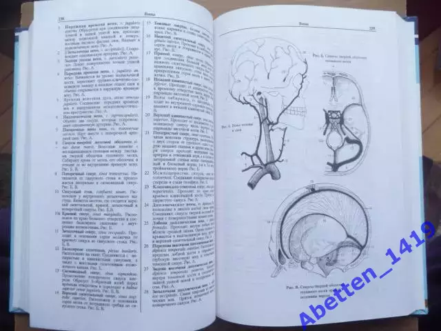 Карманный атлас анатомии человека, Ханц Фениш, 1998г. 3
