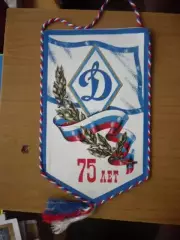 «75 лет Всероссийскому физкультурно-спортивному обществу Динамо»