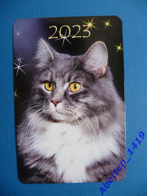 Календарик. 2023г. Серо-белая кошка.