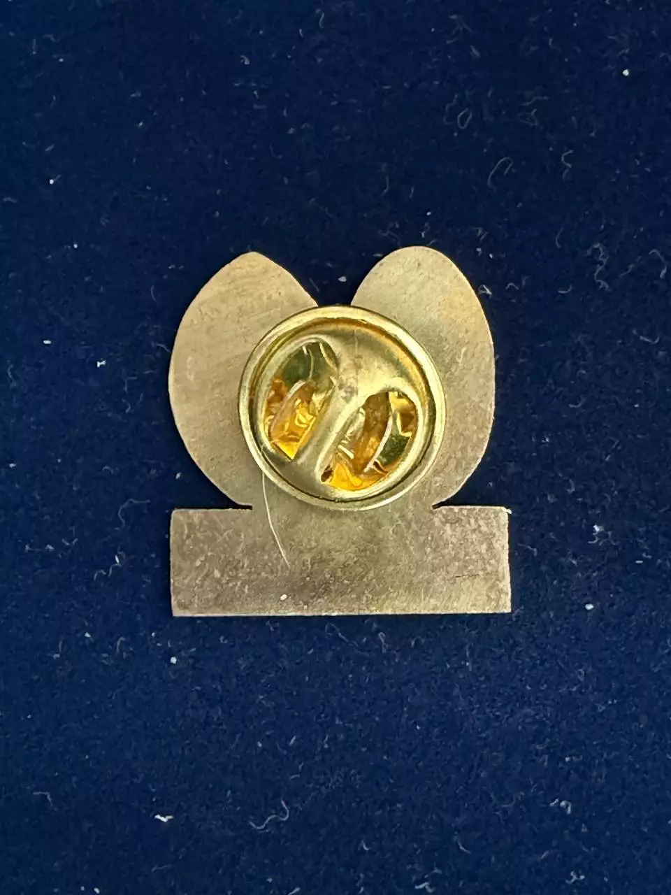 … . Заря-Шахтёр,.., . ,. -......-. 1