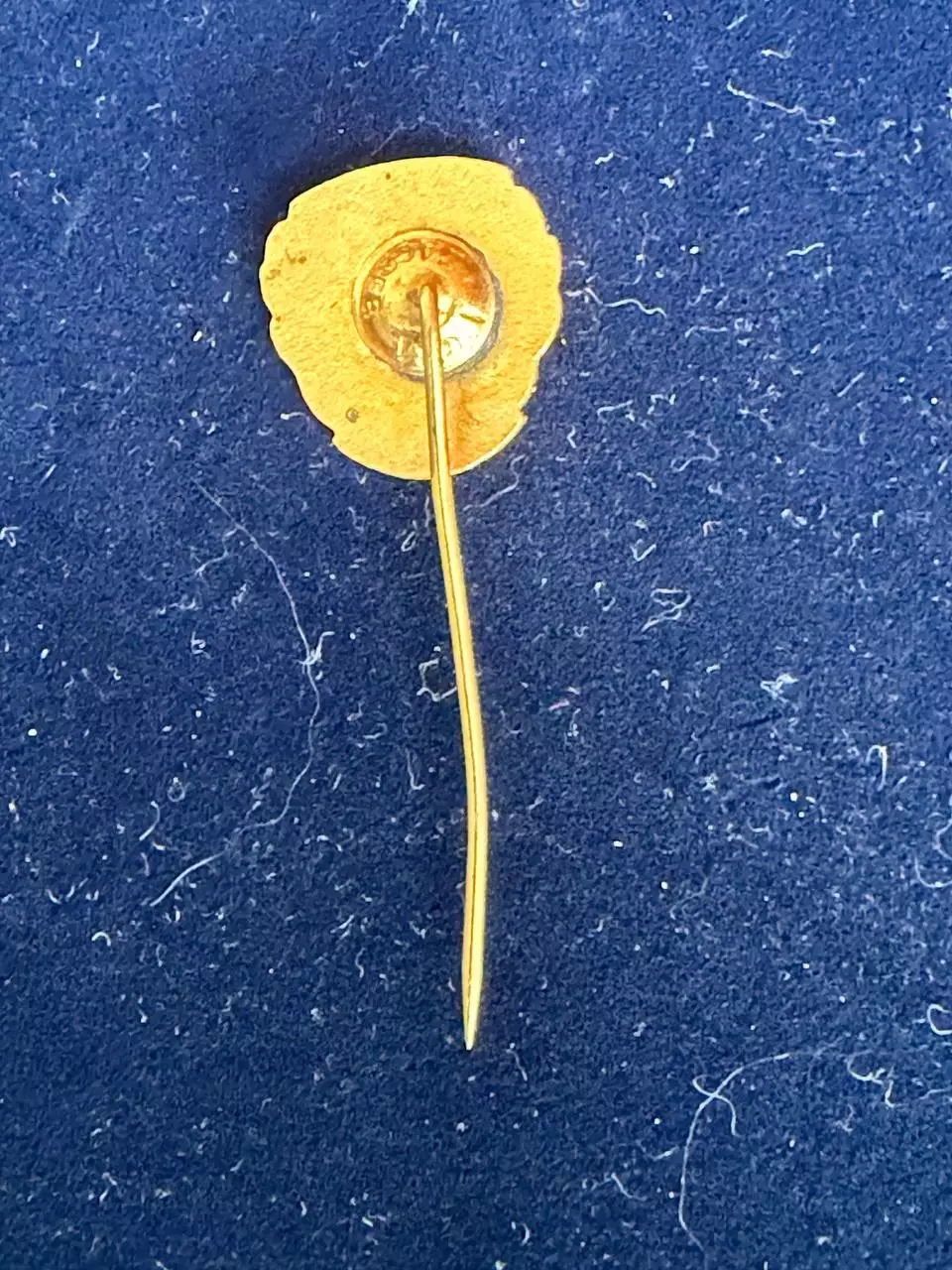 .. , ФК Вардар. Официальный знак. . -,.., . ,. -......-. 1