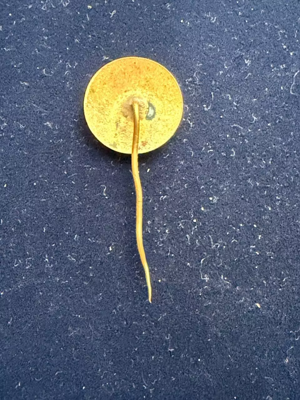 . . -,.., .Локомотив София,. -......-. 1