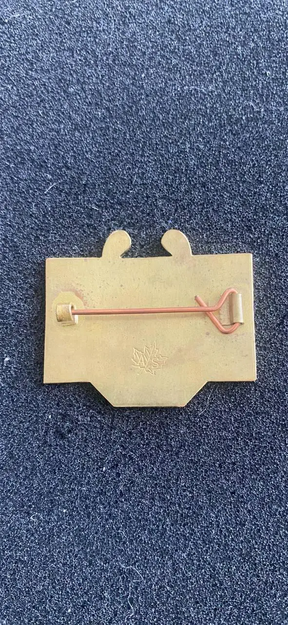 Шахтёр Порту 1